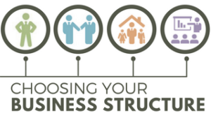 Business Plan and Legal Structure